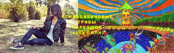 метадон Вяземский