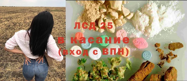 соль ск Горнозаводск