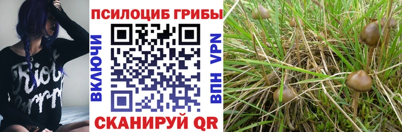 Галлюциногенные грибы Magic Shrooms  как найти   kraken зеркало  Железногорск-Илимский 